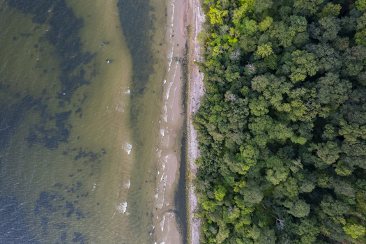 Aerial view of the Baltic sea coast with a sandy beach bordering a dense forest in Ontika Ida Viru County Estonia.