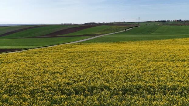 Aerial view of yellow field and green field France.