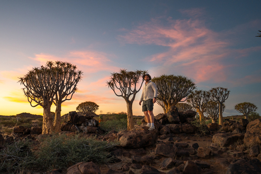 Aussenkehr Namibia 06 March 2026 View of a lone figure amidst the surreal sculptural quiver trees as the Namibian sunset paints the sky with hues of fire and whispers of twilight. Aussenkehr Namibia 06 March 2026 View of a lone figure amidst the surreal sculptural quiver trees as the Namibian sunset paints the sky with hues of fire and whispers of twilight.