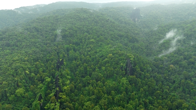 Aerial view of the unique karst rock formations of Yana Caves rising above the dense mist covered green forest canopy in Yana Karnataka India.