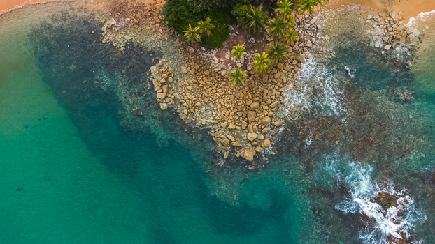 Axim Western Region Ghana 09 February 2023 Aerial view of the rocky coastline at Lou Moon Resort Eco Luxury featuring lush palm trees and turquoise waters with waves crashing against the shore. Axim Western Region Ghana 09 February 2023 Aerial view of the rocky coastline at Lou Moon Resort Eco Luxury featuring lush palm trees and turquoise waters with waves crashing against the shore.