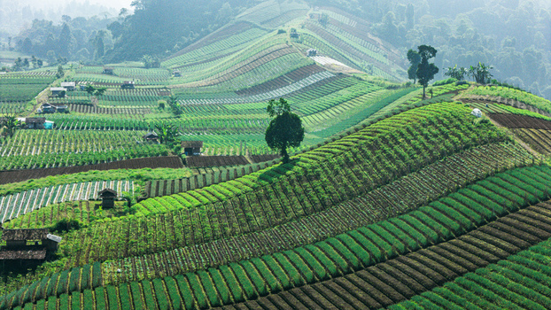 Aerial view of lush terraced agricultural fields and vegetable crops on rolling hills with small wooden huts under a soft morning light in Sukabumi West Java Indonesia. Aerial view of lush terraced agricultural fields and vegetable crops on rolling hills with small wooden huts under a soft morning light in Sukabumi West Java Indonesia.