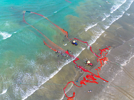 Cox s Bazar Bangladesh 10 March 2026 Aerial view of vibrant red fishing nets contrasting against the turquoise sea along the sandy shoreline.