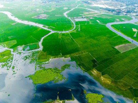Aerial view of vibrant green rice paddies and winding river channels in the rural landscape of Dhaka Dhaka Division Bangladesh. Aerial view of vibrant green rice paddies and winding river channels in the rural landscape of Dhaka Dhaka Division Bangladesh.