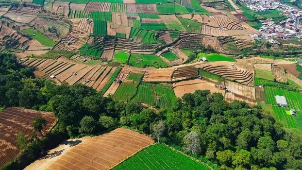 Aerial view of Brakseng terraced fields in Batu Indonesia.
