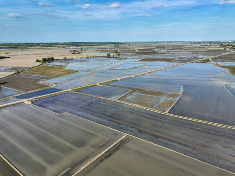 Aerial view of flooded rice paddies and geometric agricultural fields under a blue sky in Trino Piedmont Italy.