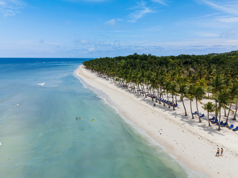 Aerial view of Dumaluan Beach with turquoise waters white sand palm trees and people relaxing on the shore in Panglao Central Visayas Philippines.