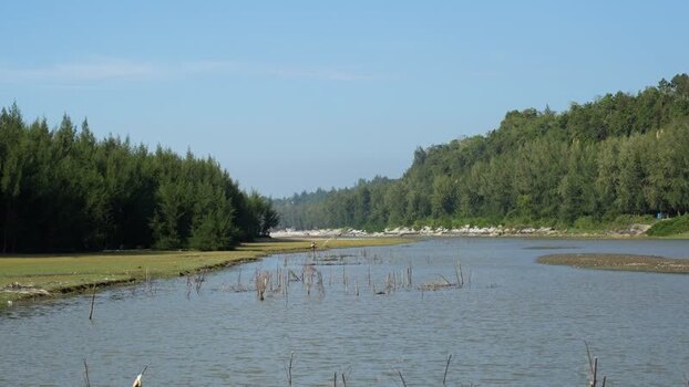 View of a still river surrounded by dense pine forests Bangladesh.