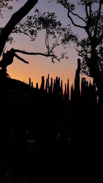 View of sunset over water with wooden posts Indonesia.