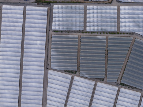 Aerial view of large agricultural greenhouses and plastic tunnels arranged in geometric patterns over farmland Paestum Campania Italy.