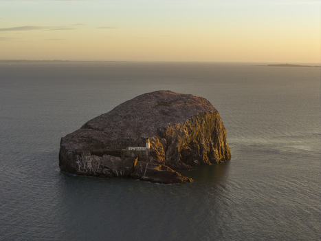 Aerial view of Bass Rock Lighthouse on the steep volcanic island surrounded by the calm sea during golden hour North Berwick Scotland United Kingdom. Aerial view of Bass Rock Lighthouse on the steep volcanic island surrounded by the calm sea during golden hour North Berwick Scotland United Kingdom.