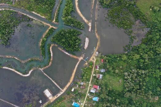 Aerial view of mangrove forests winding waterways and small coastal houses in Maginti South East Sulawesi Indonesia. Aerial view of mangrove forests winding waterways and small coastal houses in Maginti South East Sulawesi Indonesia.