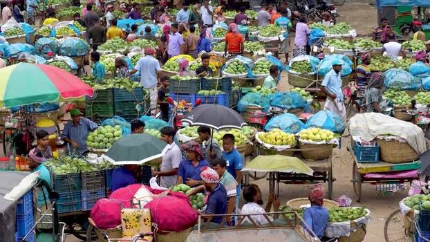 View of a busy mango market in Chapai Nawabganj Bangladesh.