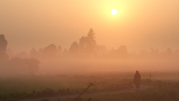 View of a person walking through a misty field at sunrise Bangladesh.