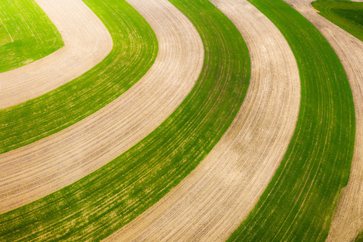Aerial view of curved agricultural fields with alternating green crops and tilled soil patterns in Brno South Moravian Region Czechia.