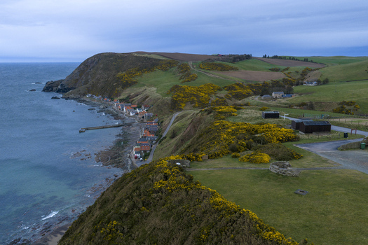 Aerial view of the historic village of Crovie nestled at the base of steep cliffs covered in yellow gorse bushes along the rugged coastline of the North Sea in Crovie Scotland United Kingdom.