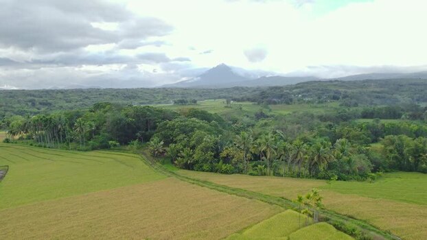 Aerial view of rice fields and Mount Inerie Indonesia. Aerial view of rice fields and Mount Inerie Indonesia.