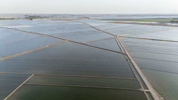 Aerial view of the flooded rice fields of Isla Minima with dirt roads crossing the agricultural landscape under a clear sky Coria del Rio Andalusia Spain. Aerial view of the flooded rice fields of Isla Minima with dirt roads crossing the agricultural landscape under a clear sky Coria del Rio Andalusia Spain.