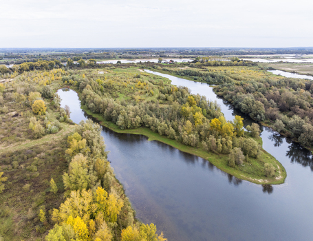Aerial view of nature reserve Millingerwaard with winding river channels and autumn foliage in the landscape of Millingen aan den Rijn Gelderland Netherlands.