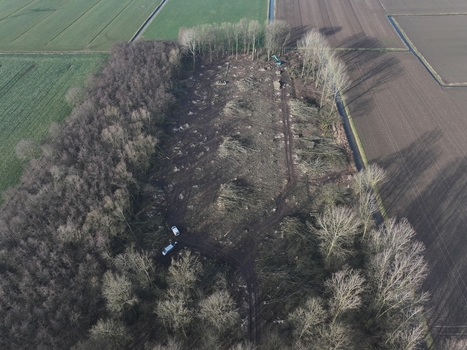Aerial view of a cleared forest area with tire tracks and remaining trees surrounded by agricultural fields in the Netherlands. Aerial view of a cleared forest area with tire tracks and remaining trees surrounded by agricultural fields in the Netherlands.
