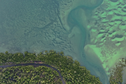Aerial view of lush mangrove forests bordering shallow turquoise waters with intricate sandbars and coral reefs in Maginti South East Sulawesi Indonesia. Aerial view of lush mangrove forests bordering shallow turquoise waters with intricate sandbars and coral reefs in Maginti South East Sulawesi Indonesia.