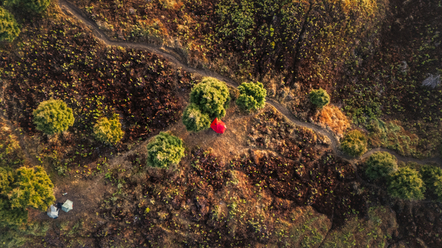 Aerial view of Sunrise Camp Gunung Prau featuring a red tent and a smaller tent nestled among trees on a rugged hillside with a winding trail in Kecamatan Kejajar Jawa Tengah Indonesia.