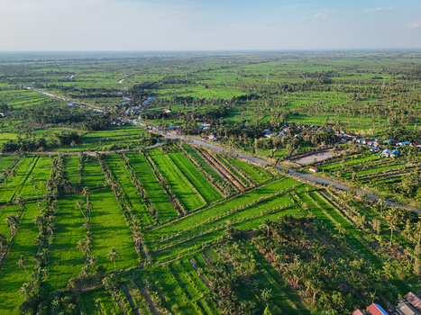 Aerial view of lush green rice paddies and agricultural fields intersected by a winding river and small village houses in Banjar Regency South Kalimantan Indonesia. Aerial view of lush green rice paddies and agricultural fields intersected by a winding river and small village houses in Banjar Regency South Kalimantan Indonesia.