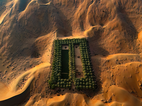 Aerial view of Bateen Liwa oasis with lush green palm trees arranged in a rectangular grid surrounded by vast orange sand dunes Al Dhafra Region Abu Dhabi United Arab Emirates. Aerial view of Bateen Liwa oasis with lush green palm trees arranged in a rectangular grid surrounded by vast orange sand dunes Al Dhafra Region Abu Dhabi United Arab Emirates.