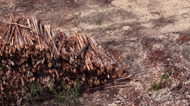 Aerial view of stacked logs in a logging area Portugal. Aerial view of stacked logs in a logging area Portugal.