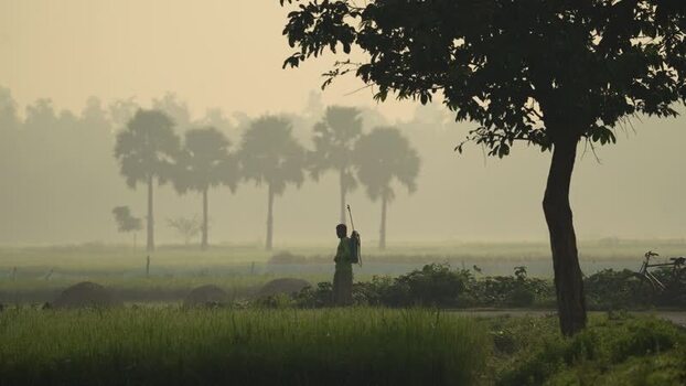 View of a farmer in a misty field in Bogura Bangladesh. View of a farmer in a misty field in Bogura Bangladesh.