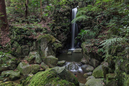 View of a small serene waterfall cascading over moss covered rocks into a pool surrounded by lush greenery and trees Narita Chiba Japan. View of a small serene waterfall cascading over moss covered rocks into a pool surrounded by lush greenery and trees Narita Chiba Japan.