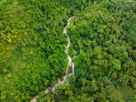 Aerial view of Inambakan Falls cascading through a dense tropical jungle with lush palm trees and vibrant greenery in Ginatilan Central Visayas Philippines.