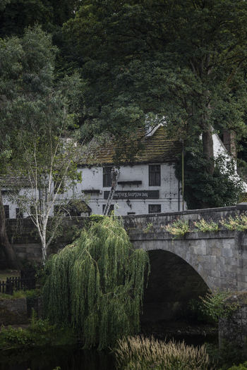 Knaresborough United Kingdom 14 July 2026 View of the Mother Shipton Inn with a worker on a ladder stone bridge and lush willow tree by the river.