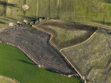 Aerial view of the geometric patterns of agricultural fields with plowed soil and green meadows under soft sunlight in Rivalta di Torino Piedmont Italy. Aerial view of the geometric patterns of agricultural fields with plowed soil and green meadows under soft sunlight in Rivalta di Torino Piedmont Italy.