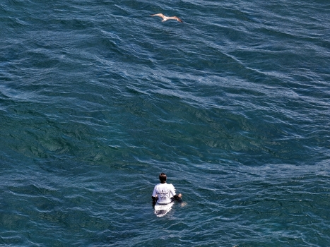 Aerial view of a surfer sitting on a surfboard in the deep blue ocean with a seagull flying overhead Ribeira Grande Acores Portugal. Aerial view of a surfer sitting on a surfboard in the deep blue ocean with a seagull flying overhead Ribeira Grande Acores Portugal.