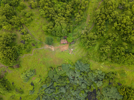 Aerial view of a rustic building nestled within vibrant green foliage near Pengilon Hill Gunungkidul Regency Daerah Istimewa Yogyakarta Indonesia. Aerial view of a rustic building nestled within vibrant green foliage near Pengilon Hill Gunungkidul Regency Daerah Istimewa Yogyakarta Indonesia.