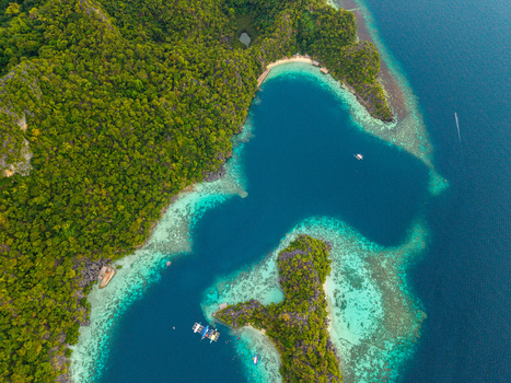 Aerial view of Malwawey Coral Garden featuring vibrant turquoise reefs and lush green hills along the tropical coastline of Coron Palawan Philippines.