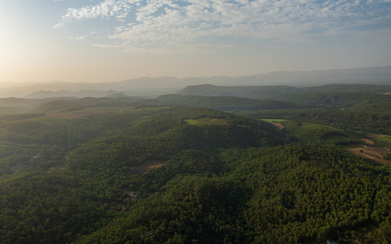 Aerial view of the rolling hills of Provence covered in dense green forests and patches of agricultural land under a soft hazy sky in Provence Alpes Cote d Azur France.