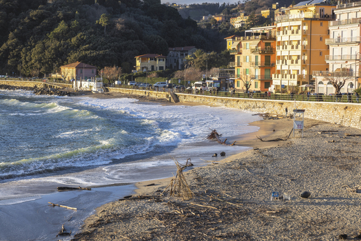 View of Venere Azzurra beach with driftwood on the sand rolling waves and colorful coastal buildings under a clear sky in Lerici Liguria Italy.