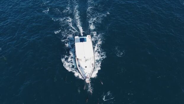 Aerial view of a boat and dolphins in the ocean Maldives.