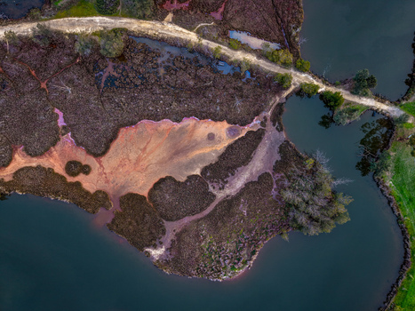 Aerial view of Point Fraser featuring unique reddish brown marshland dark water channels and a winding dirt path along the riverbank in East Perth Western Australia Australia.
