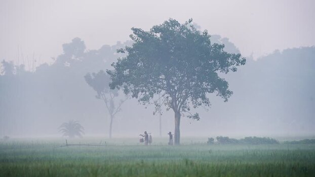 View of farmers walking in misty fields in Bogura Bangladesh.