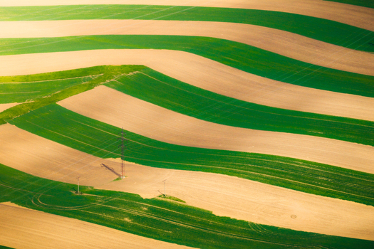 Aerial view of agricultural fields with alternating green and brown strips and power pylons in Brno South Moravian Region Czechia.