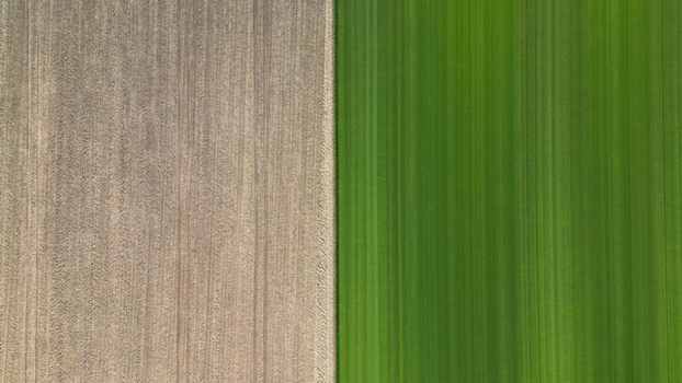Aerial view of field patterns showing a contrast between ploughed brown earth and vibrant green crops in the United Kingdom.