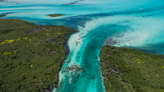 Aerial view of the Los Roques archipelago featuring vibrant turquoise waters coral reefs and lush mangrove forests in Los Roques Dependencias Federale Venezuela. Aerial view of the Los Roques archipelago featuring vibrant turquoise waters coral reefs and lush mangrove forests in Los Roques Dependencias Federale Venezuela.