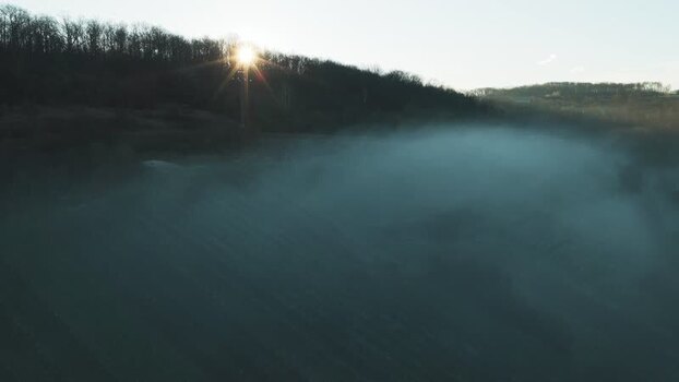 Aerial view of trees and fog France.