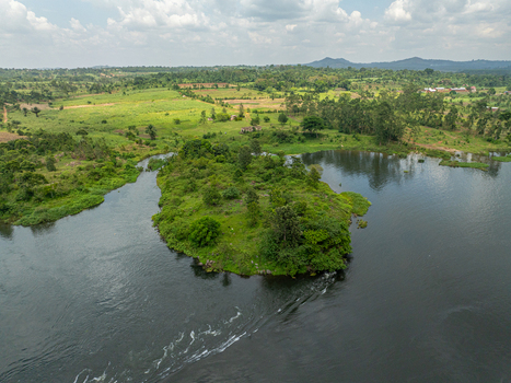 Aerial view of a small lush green island nestled in the River Nile with surrounding vegetation and calm waters in Jinja Eastern Region Uganda.