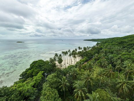 Aerial view of lush green trees meet the turquoise sea in a stunning coastal landscape at Bobby Beach Karimunjawa Central Java Indonesia.