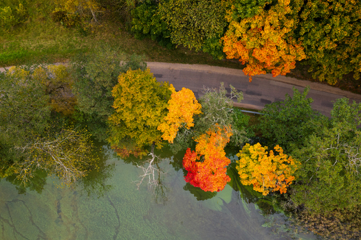 Aerial view of colorful autumn trees with vibrant yellow and orange leaves along a winding road by a calm lake Lithuania. Aerial view of colorful autumn trees with vibrant yellow and orange leaves along a winding road by a calm lake Lithuania.