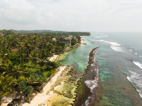 Aerial view of Thalpe Beach featuring a lush palm grove sandy shoreline and turquoise waters protected by a natural rocky reef in Talpe Southern Province Sri Lanka. Aerial view of Thalpe Beach featuring a lush palm grove sandy shoreline and turquoise waters protected by a natural rocky reef in Talpe Southern Province Sri Lanka.
